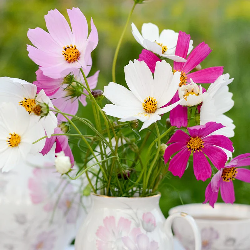 Bouquets For Days Annual Wildflower Seed Collection - Image 3