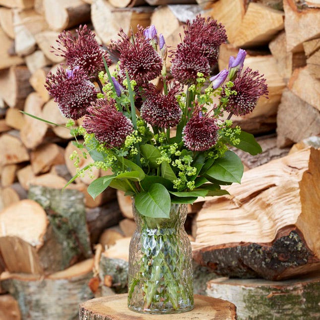 Red Mohican® Allium - Image 3