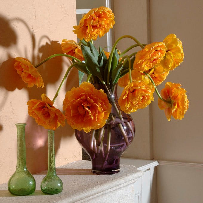 Sunlover Double Late Tulip - Image 2