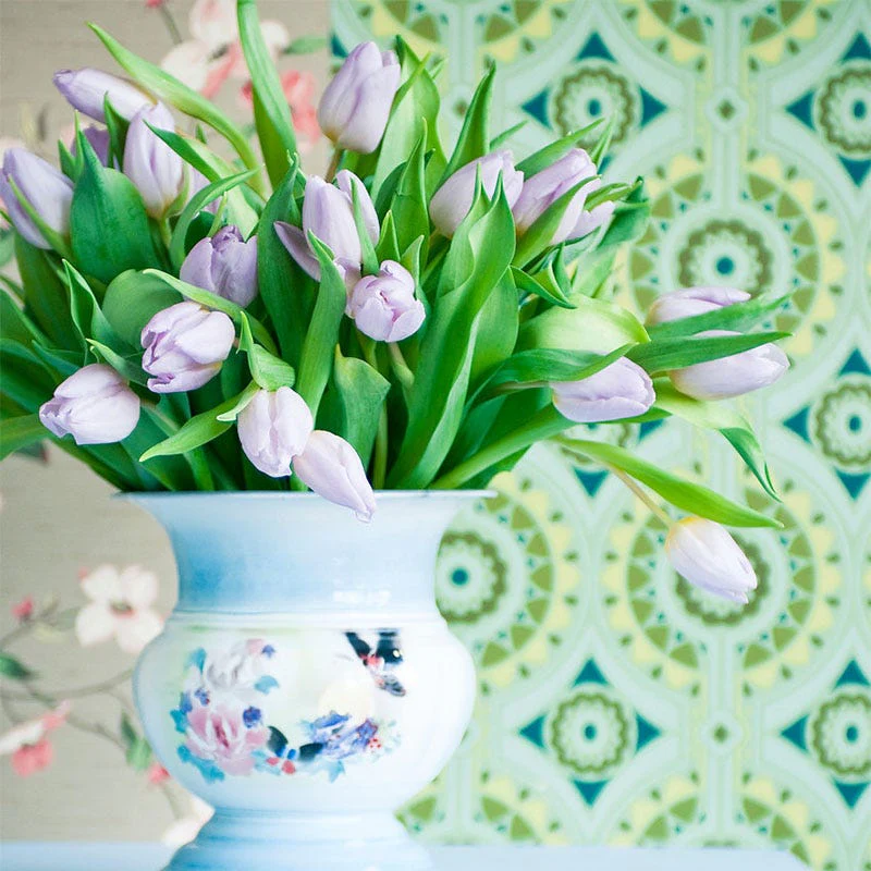 Candy Prince Single Early Tulip - Image 3