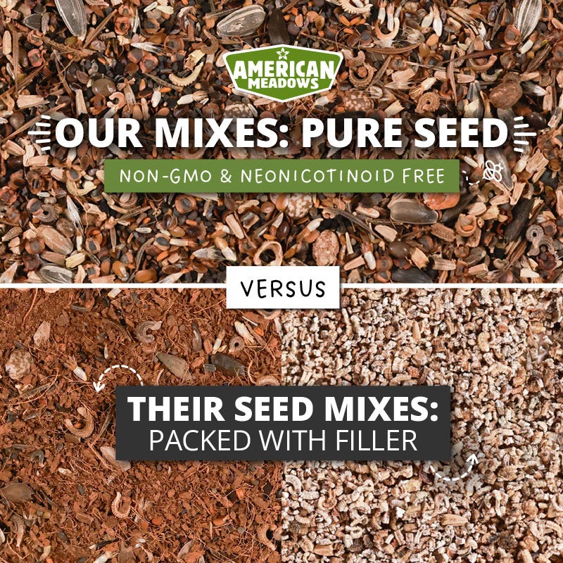 Perennial Beauty Wildflower Seed Mix - Image 5