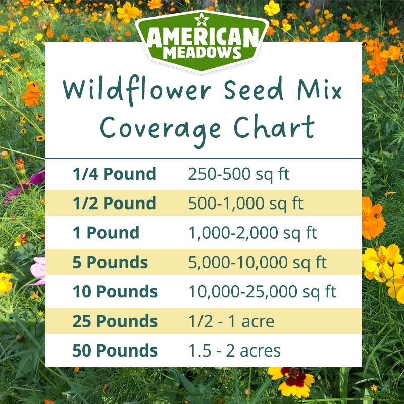 Southeast Select Wildflower Seed Mix - Image 7