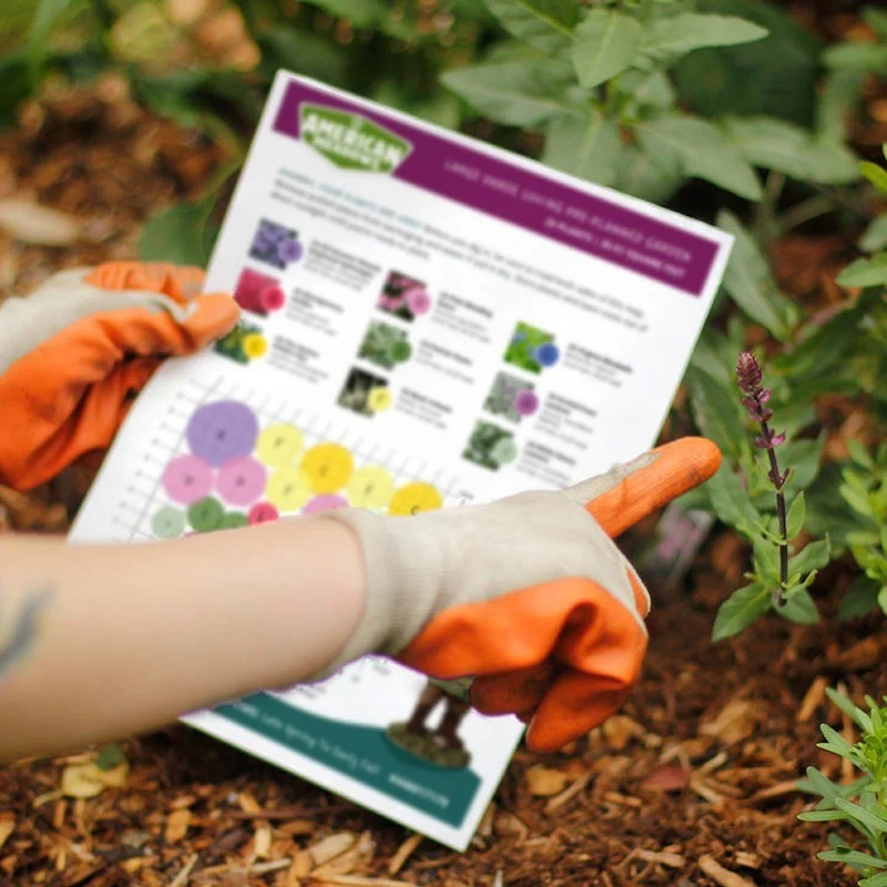 Summer Long Blooms Pre-Planned Garden - Image 3